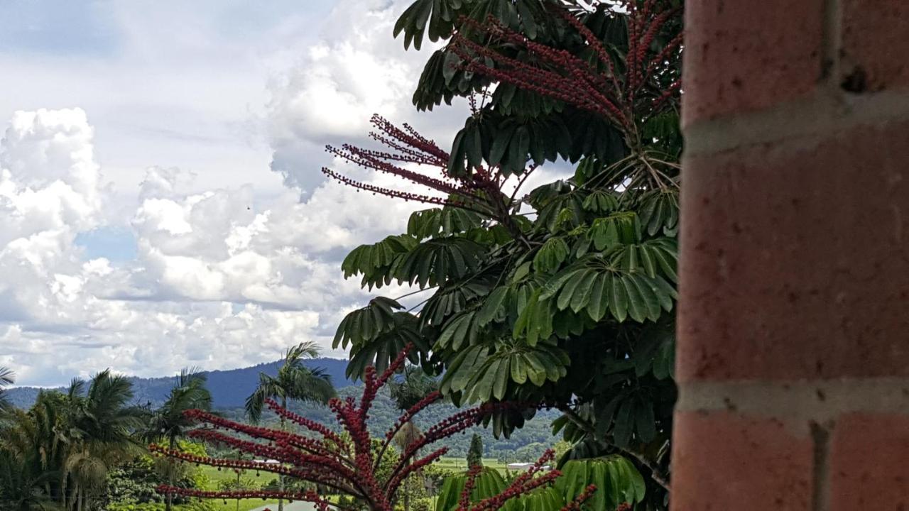 巴比纳地区旅馆 Babinda 外观 照片