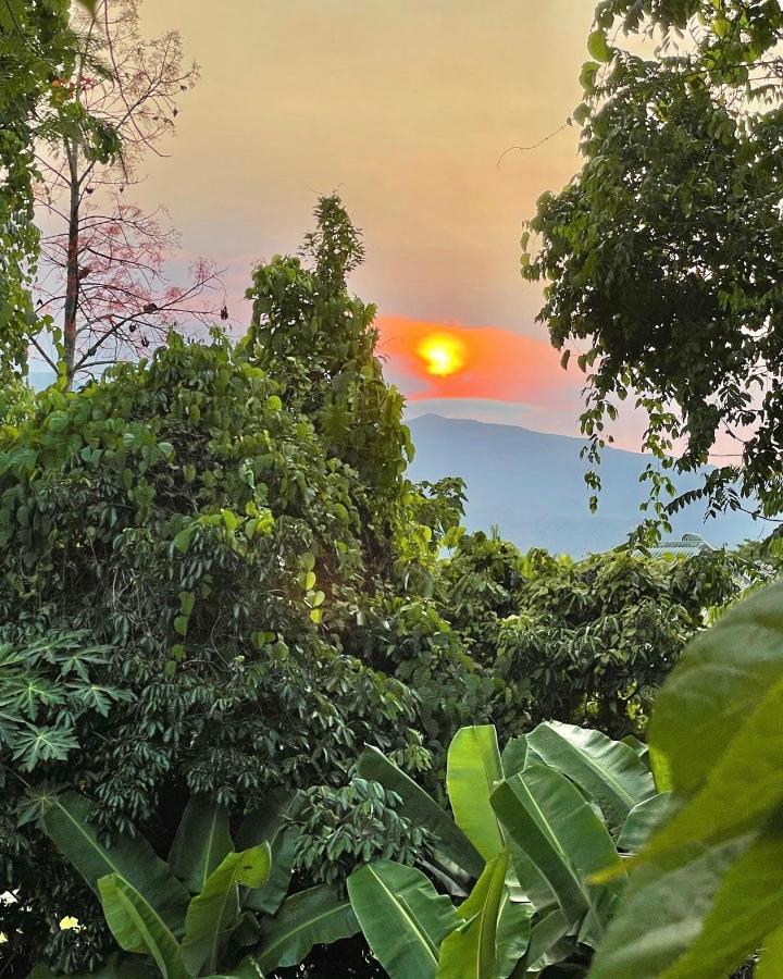 巴比纳地区旅馆 Babinda 外观 照片