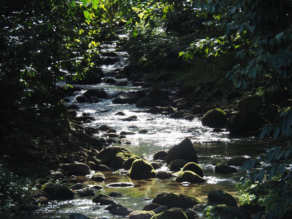 巴比纳地区旅馆 Babinda 外观 照片